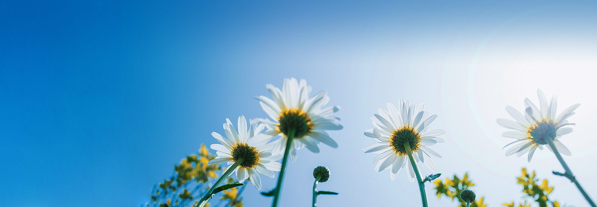 USDT����Ǯ��(�й��ٷ�)-USDTǮ��