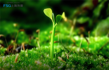 USDT����Ǯ��(�й��ٷ�)-USDTǮ��