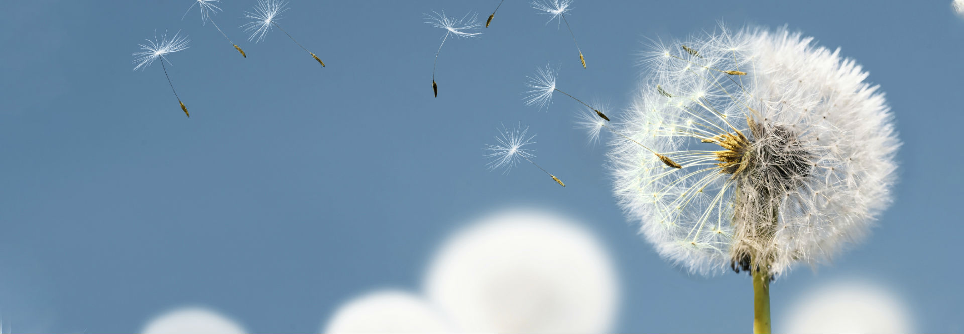 USDT����Ǯ��(�й��ٷ�)-USDTǮ��