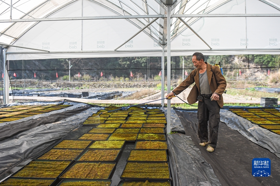 USDT����Ǯ��(�й��ٷ�)-USDTǮ��