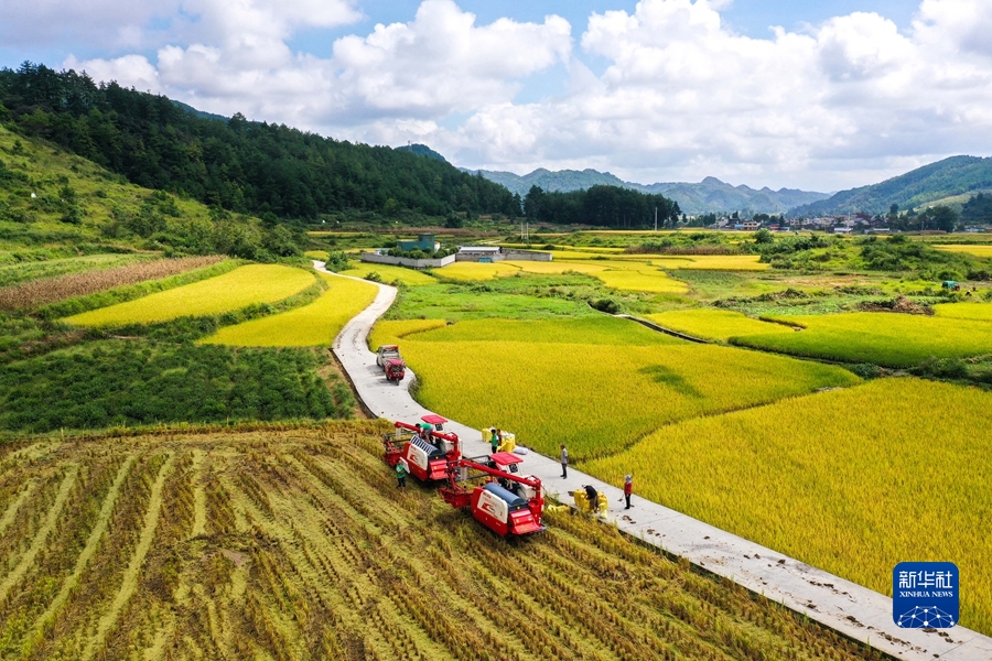 USDTÊý×ÖÇ®°ü(Öйú¹Ù·½)-USDTÇ®°ü