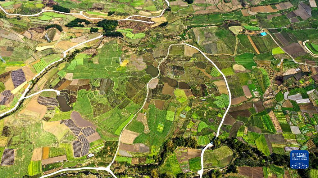 USDTÊý×ÖÇ®°ü(Öйú¹Ù·½)-USDTÇ®°ü