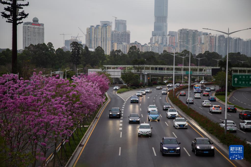 USDTÊý×ÖÇ®°ü(Öйú¹Ù·½)-USDTÇ®°ü